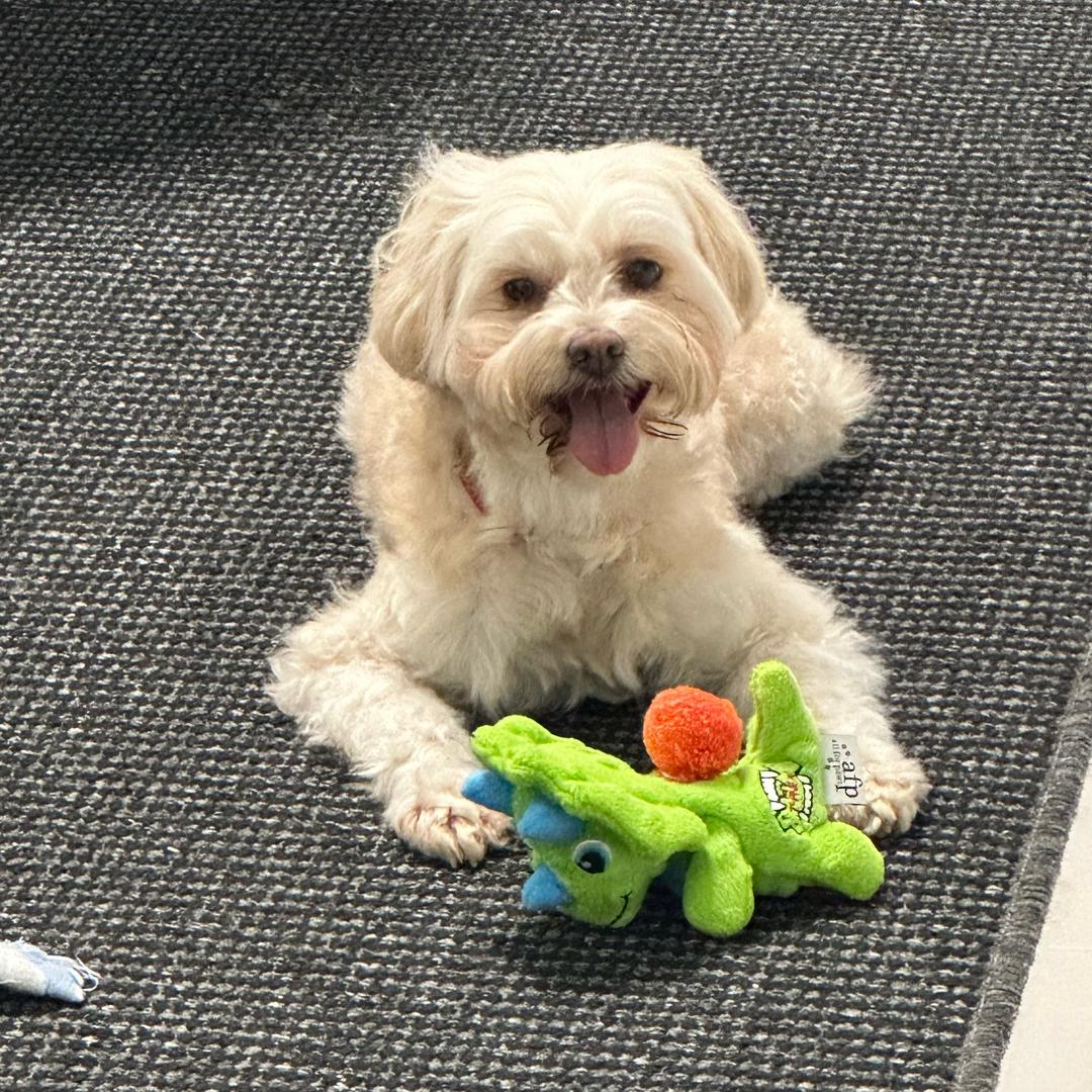 ppwwbb