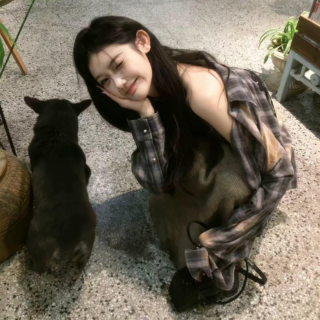 摆烂小鱼