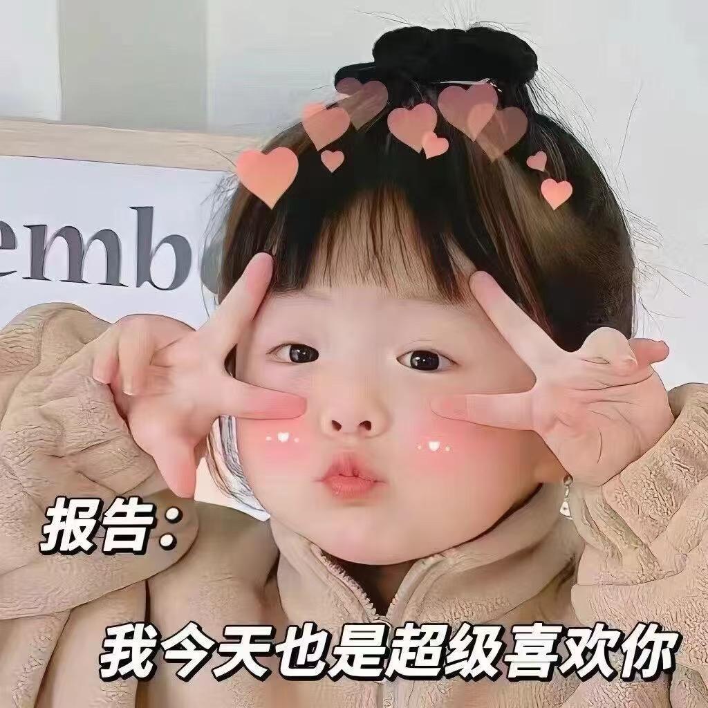 贝欣🐏