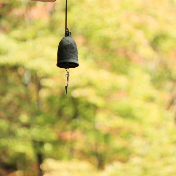 平凡的天天向上的平凡