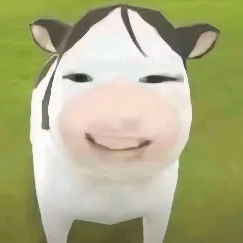 三区