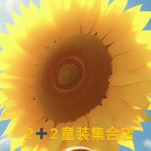 贰加贰童装店