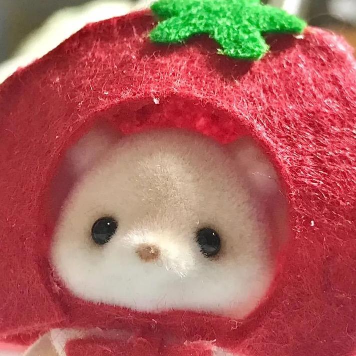 开心小喇叭巴拉巴拉