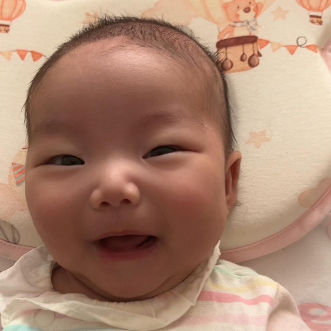 小团子成长记