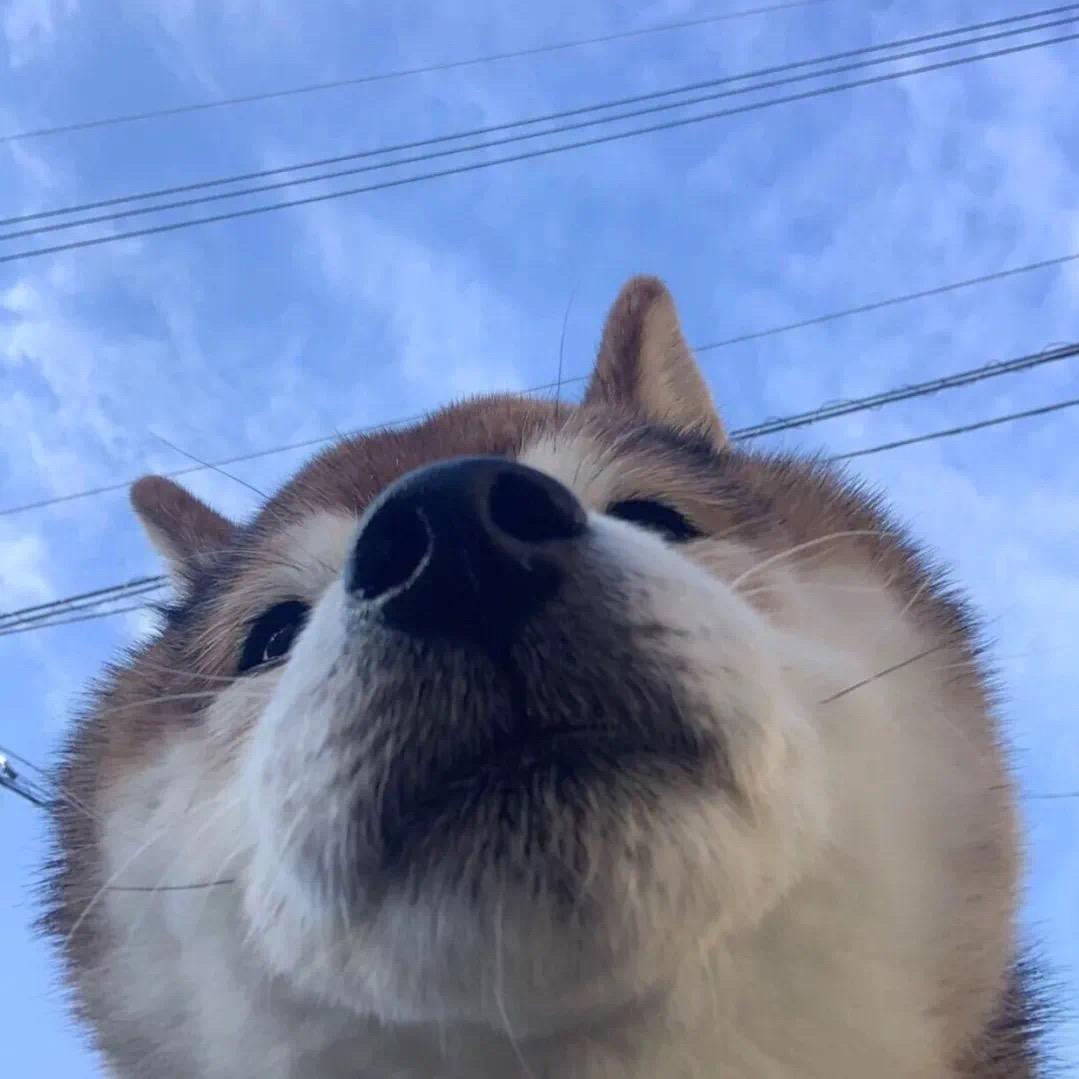 暖墩子