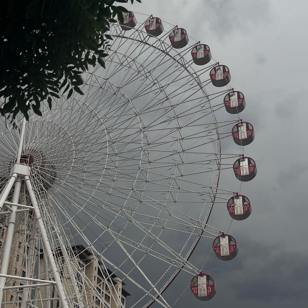 蝴蝶蓝🦋（约拍版）