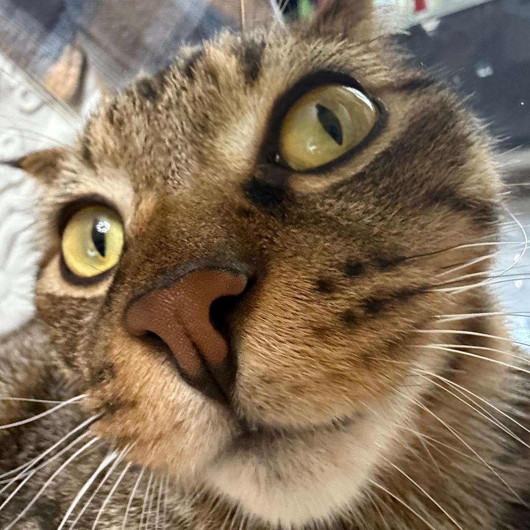 李三（恩师喜来钱）