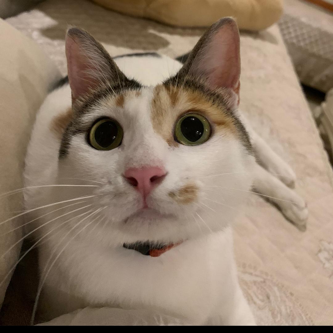 豪杰石雕工艺