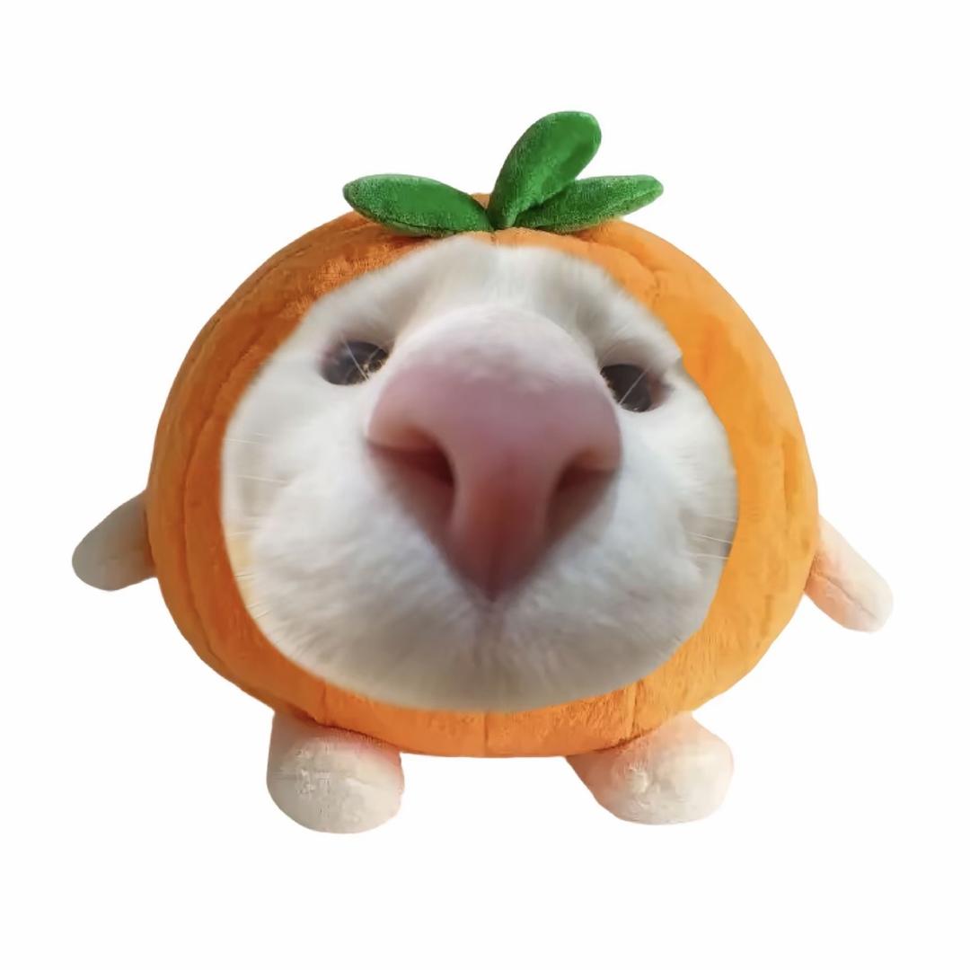 秋晚臆