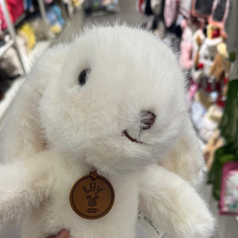 榴莲的莲莲