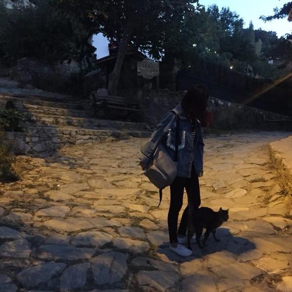 樱桃小丸子🍒