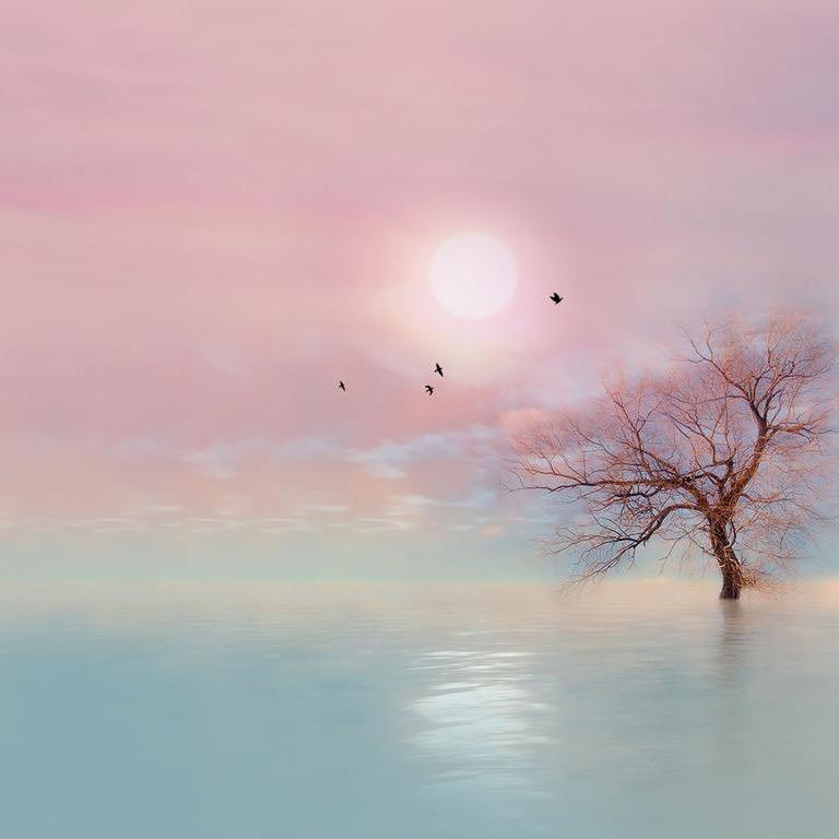 可见青天艳阳照