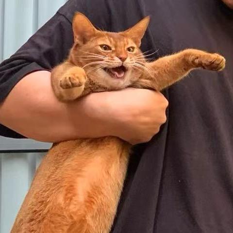 快逃