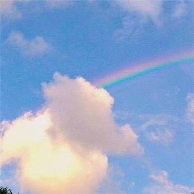 鼎鼎香黄焖鸡米饭