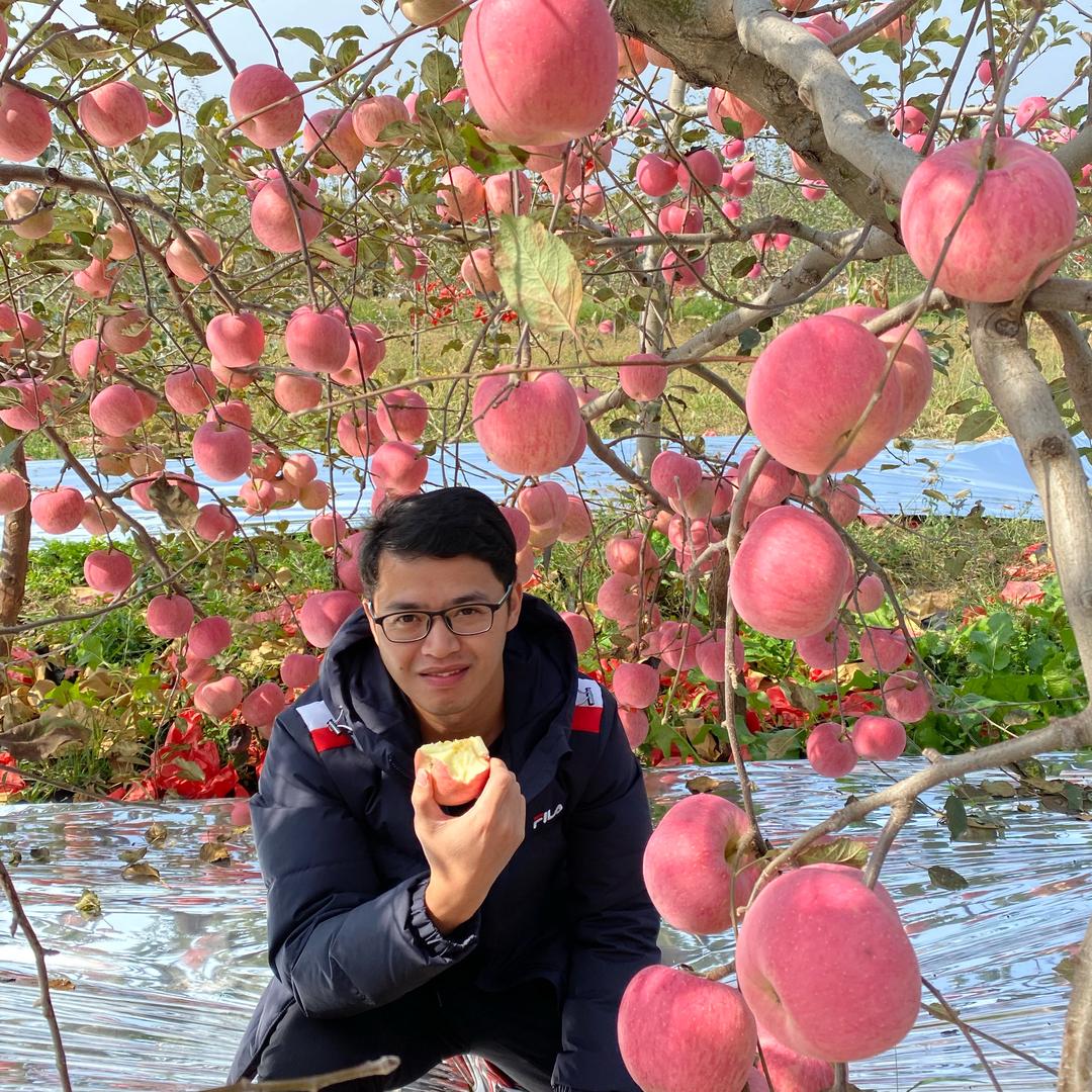 果遍野陕西果遍野网络科技有限公司蔬菜制品专卖店