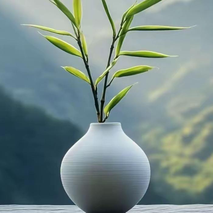 su___苏
