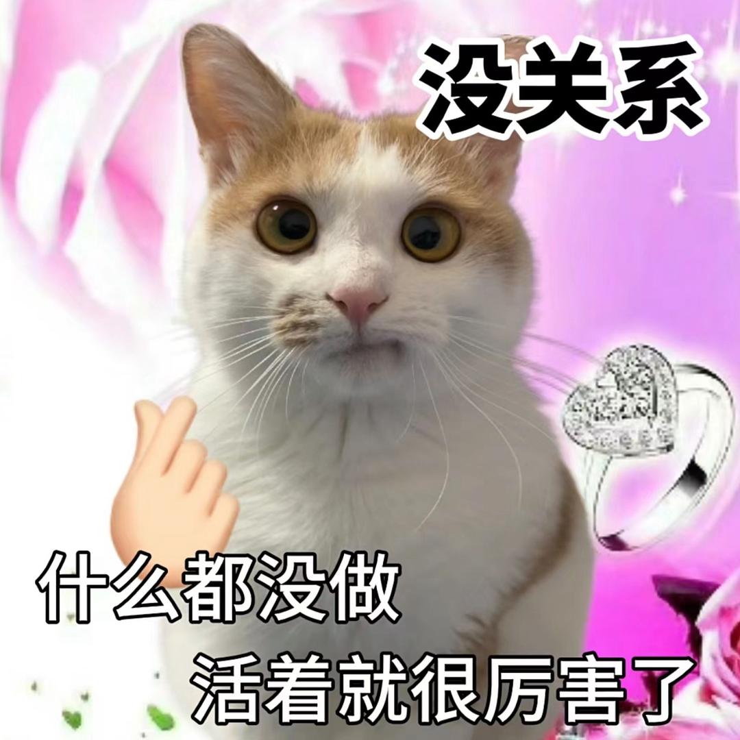 小得午安