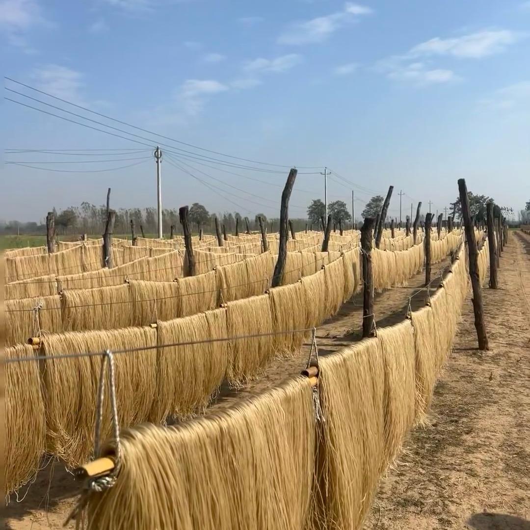 朝阳六家子厂家