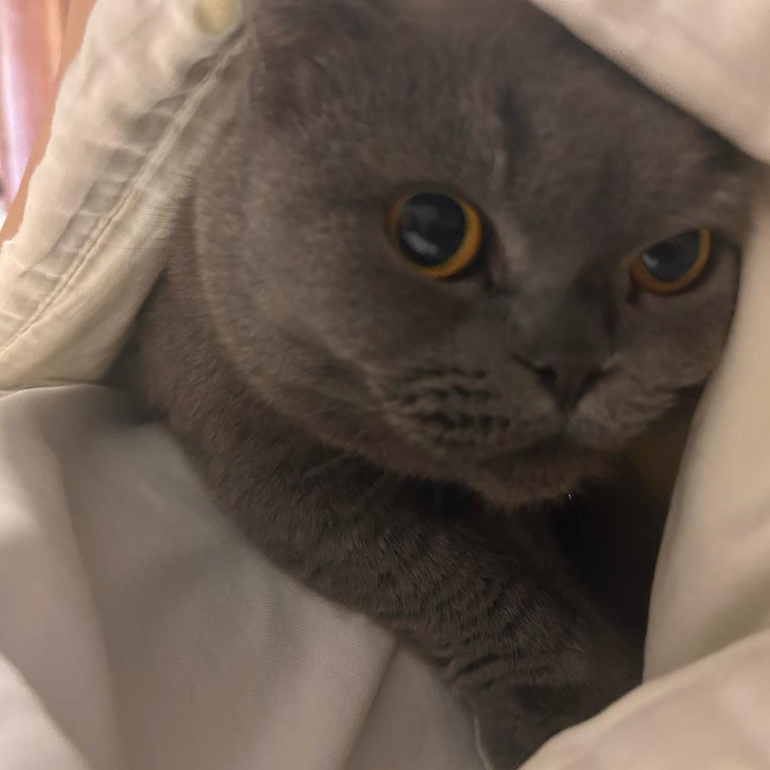 邱可力