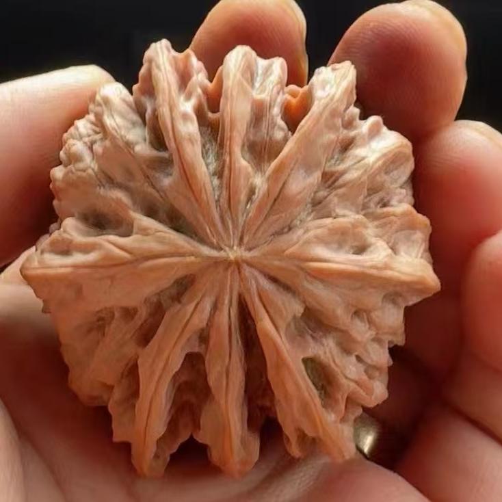 亿核（文玩回血）