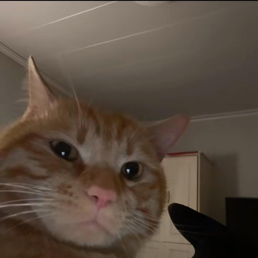 徒步去拉萨被狼追日记