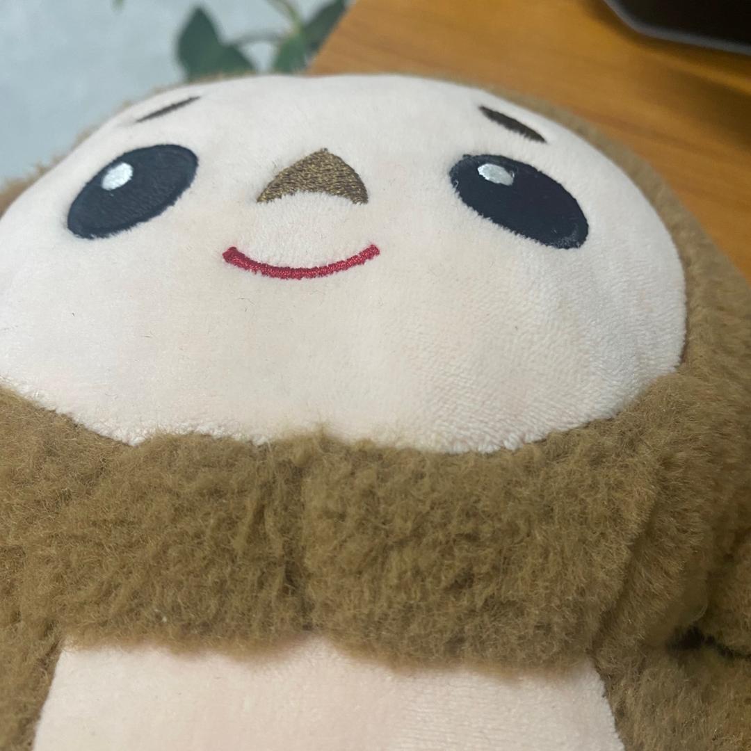 卡皮巴拉¥