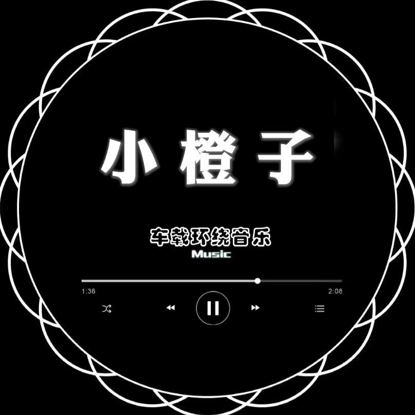 小橙子《车载U盘》