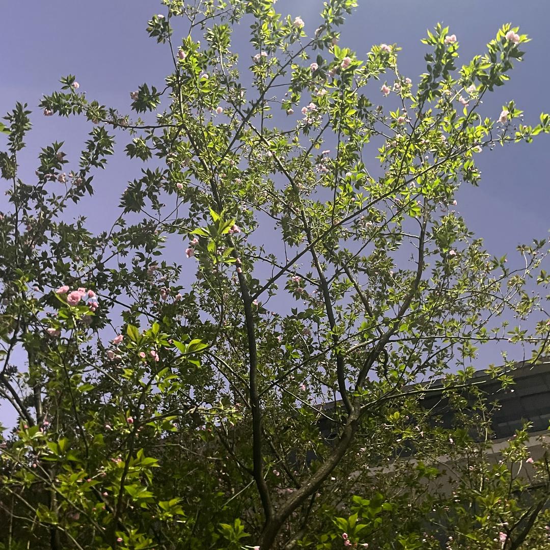 八十岁太奶奶👵