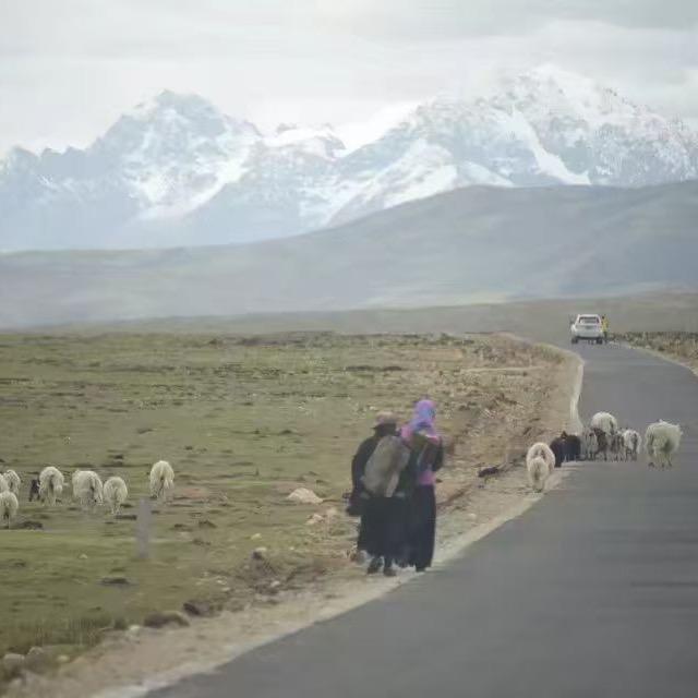 爱吃鸡腿的大腿