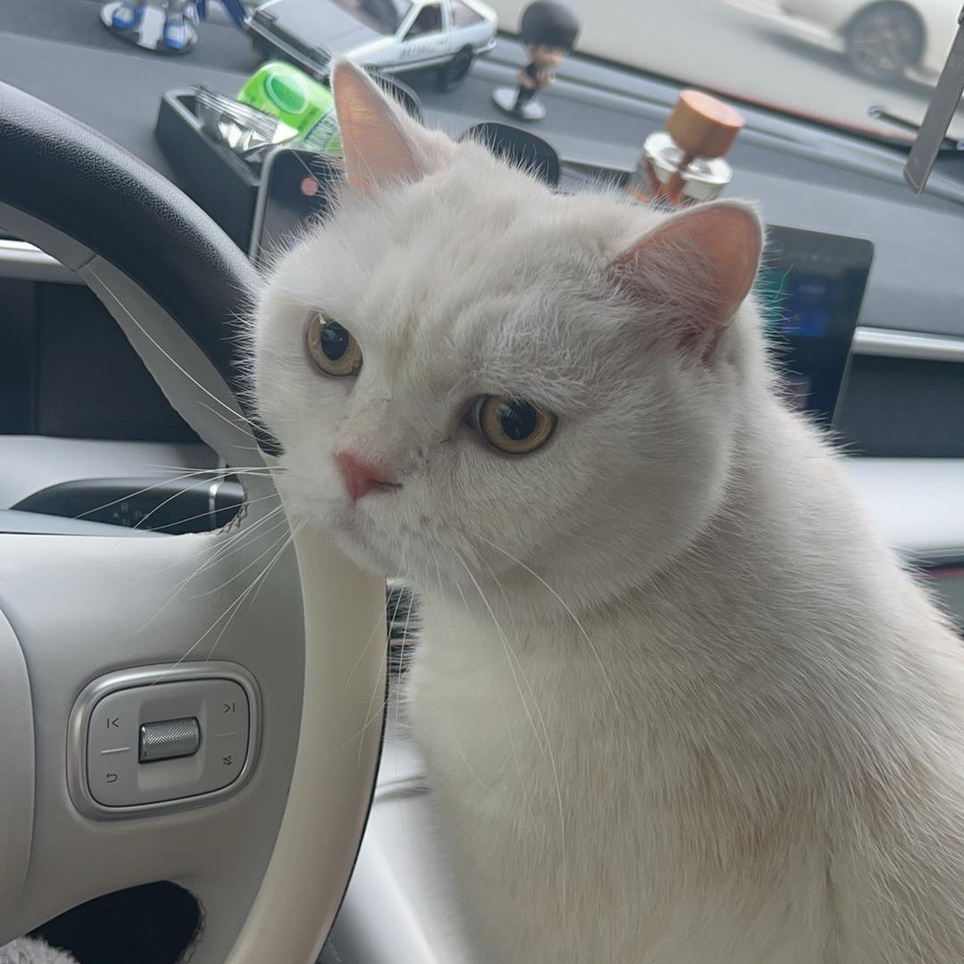 喜欢跑车不行吗？
