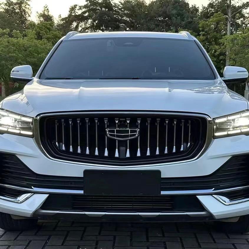 吉利🚗小项