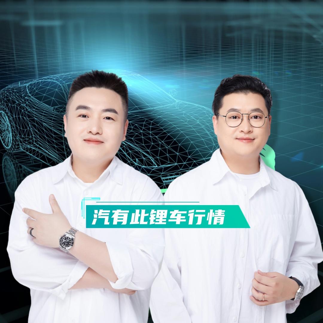汽有此锂.车行情