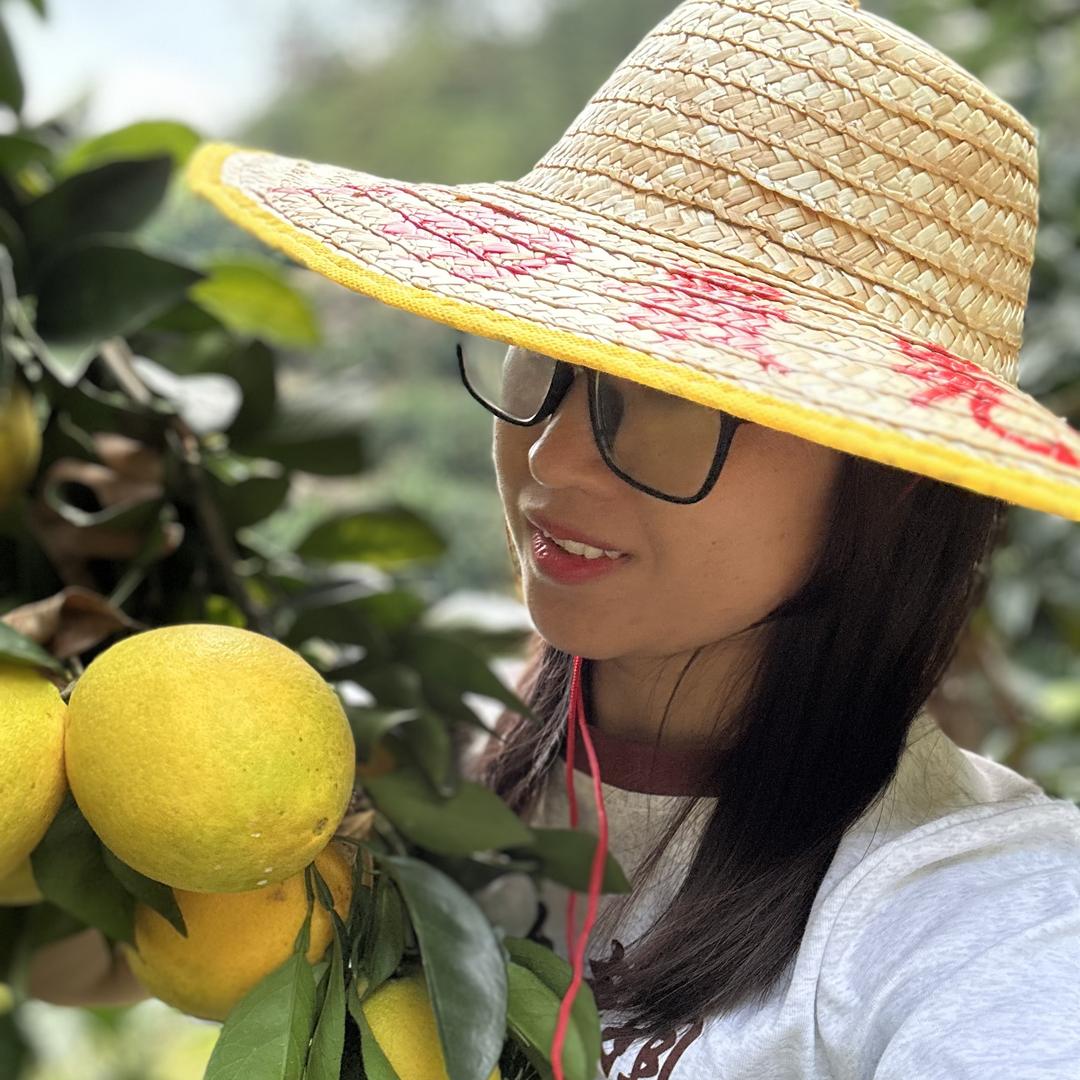 赣南大表姐的小铺