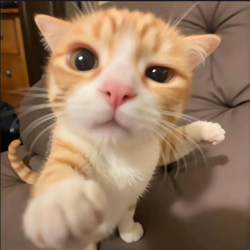 困困睡觉觉🌙ASMR