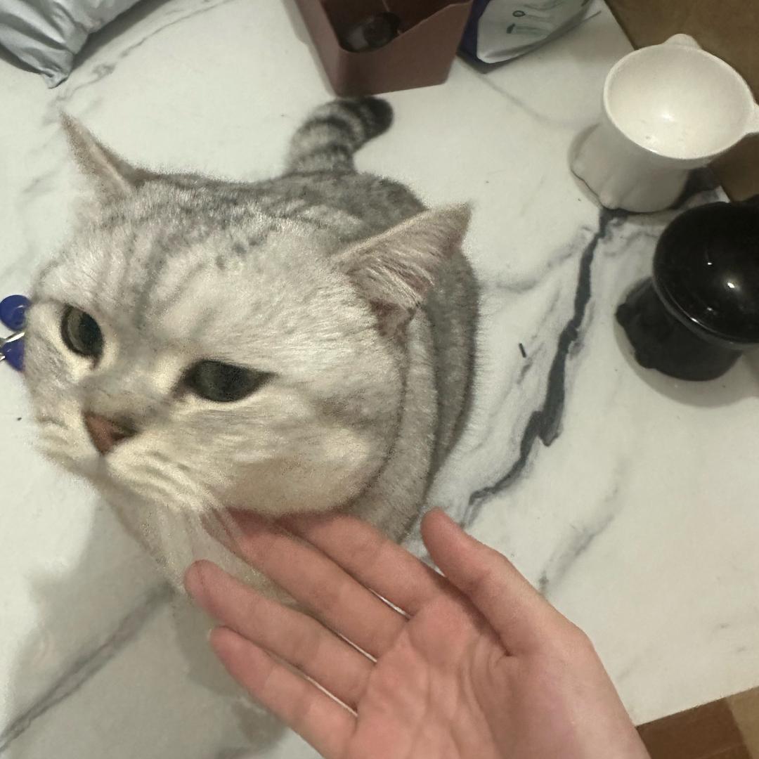 小小