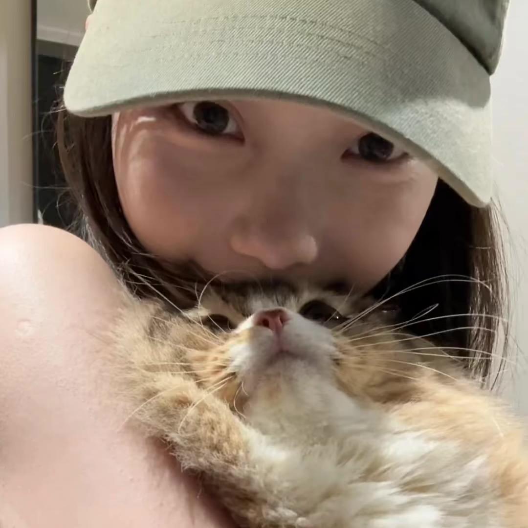 小小鸡块