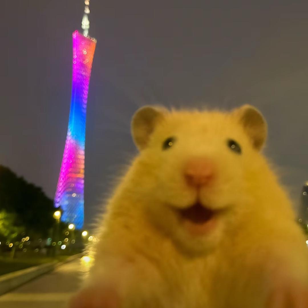 秋风扫落叶