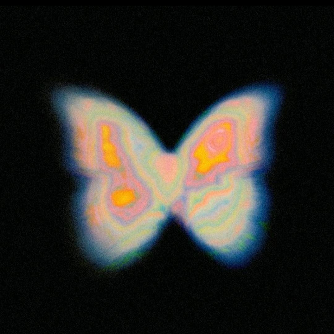 🦋
