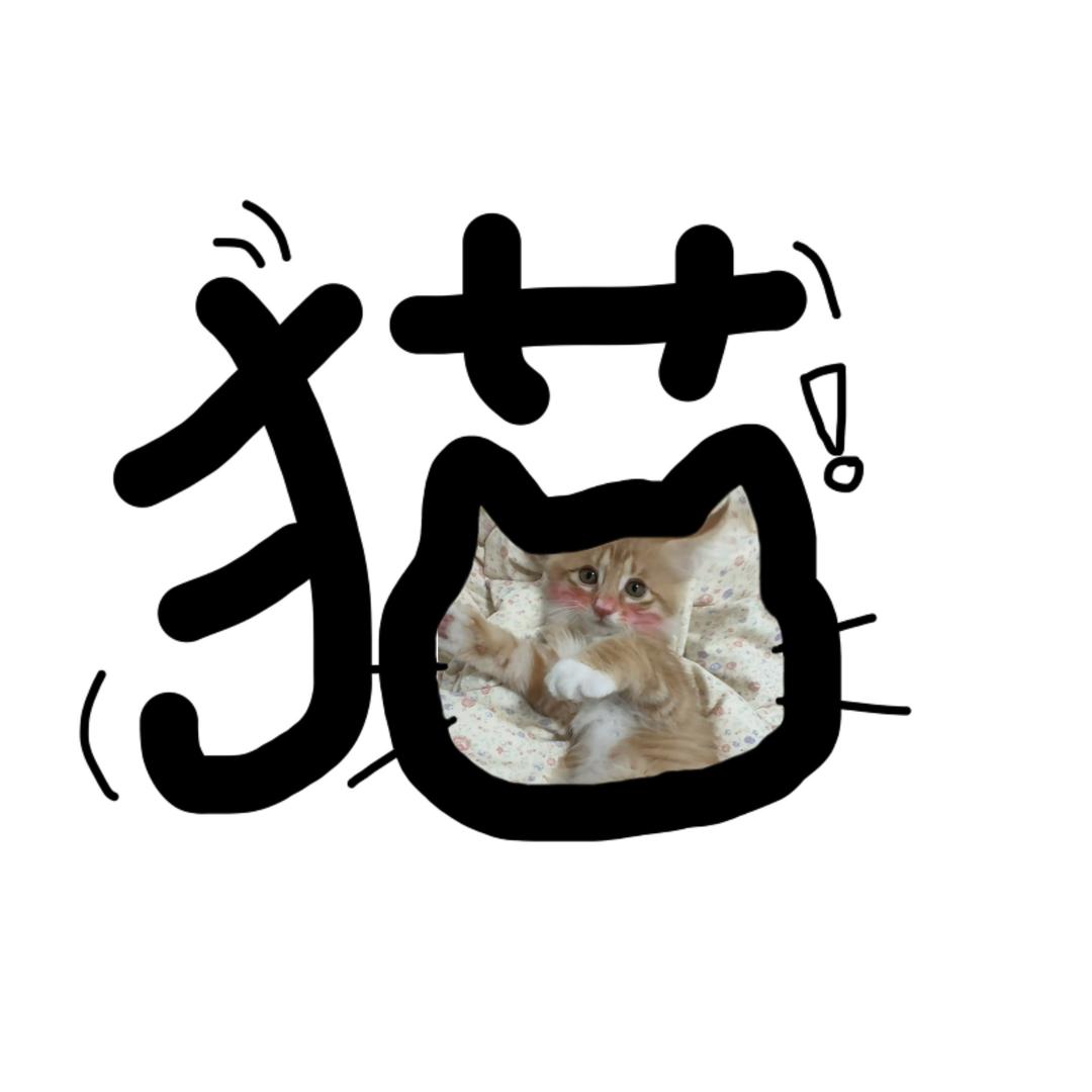 奶猫噜噜的日常🐱