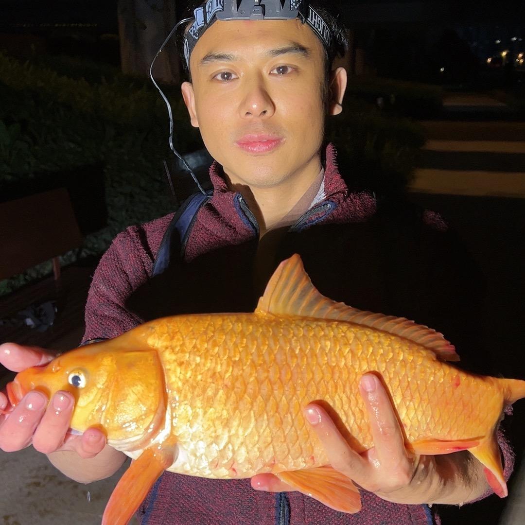 钓鳝阿晶🦨