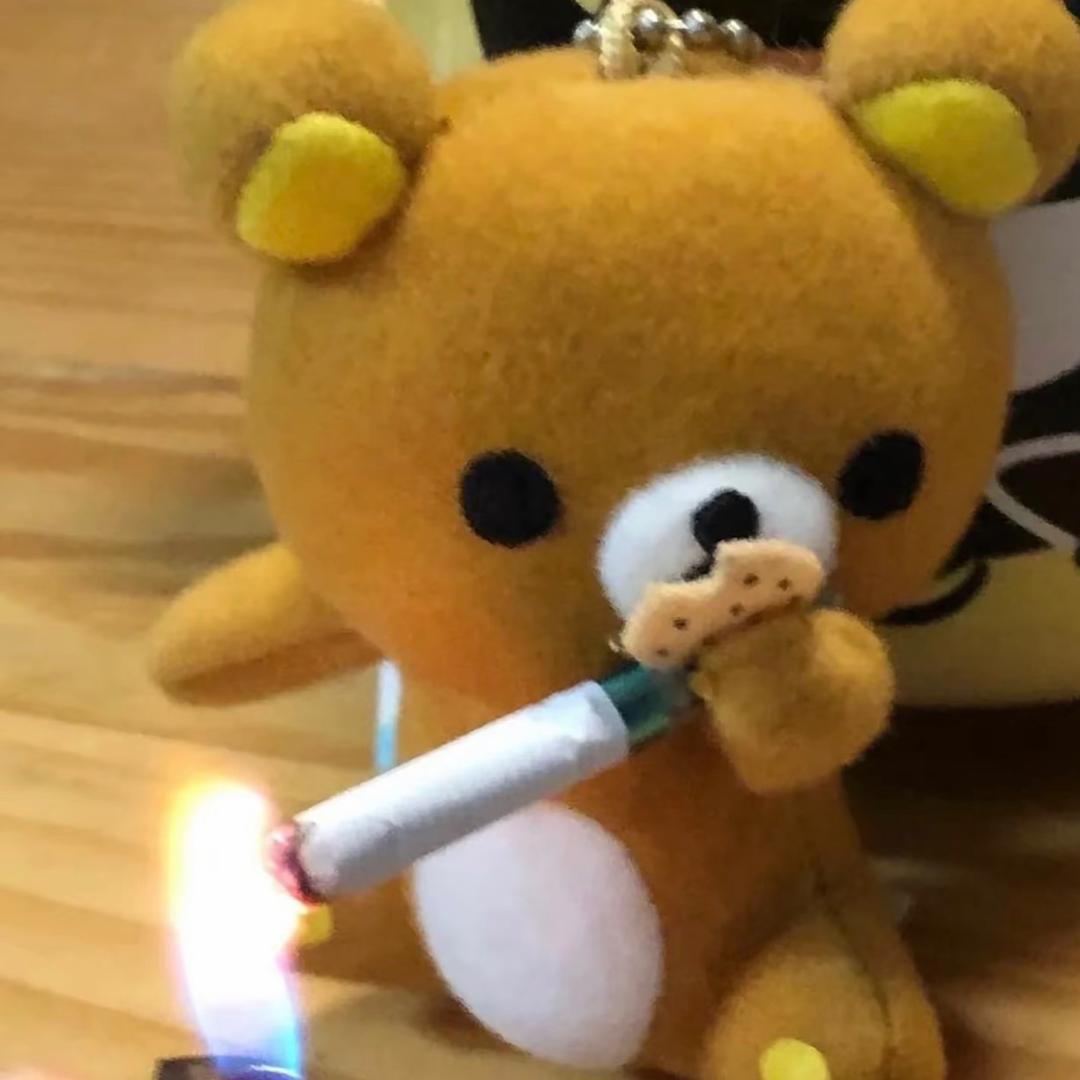 🧸🧸🧸🧸🧸