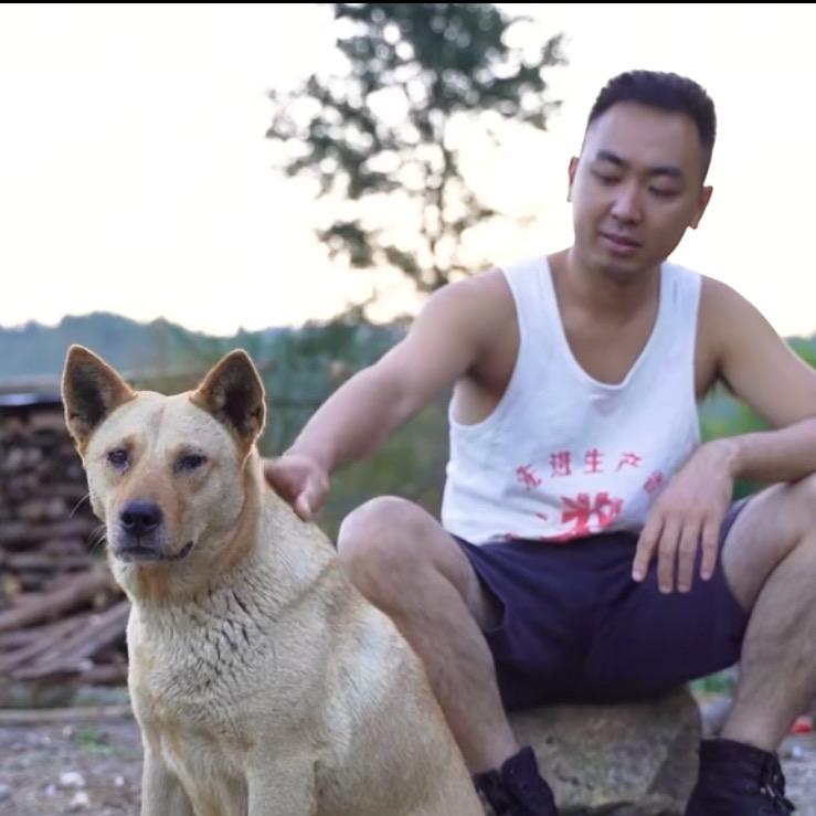 寻好犬
