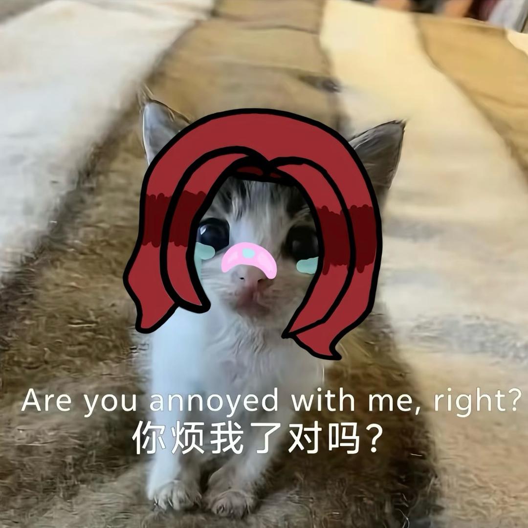 小悦宝