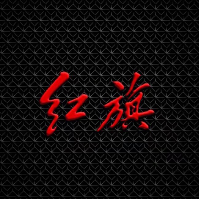 卖红旗的刘英俊