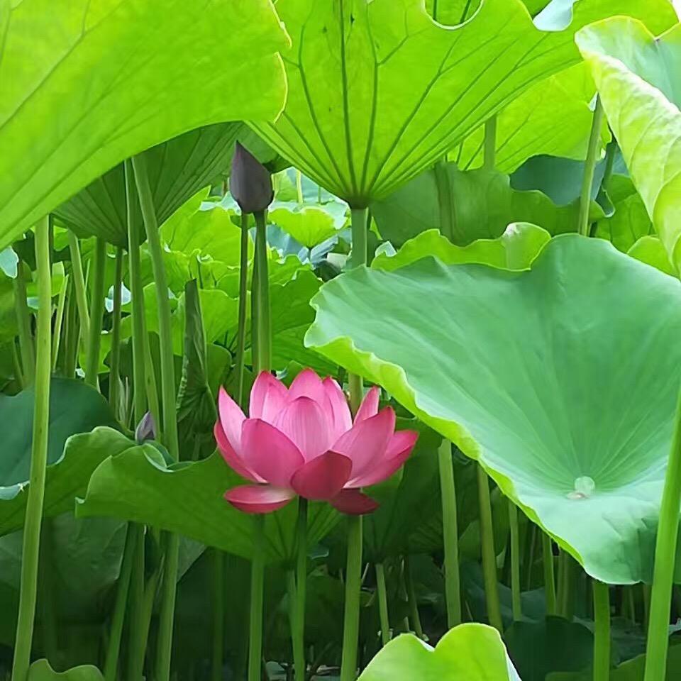 如果云知道💫💫