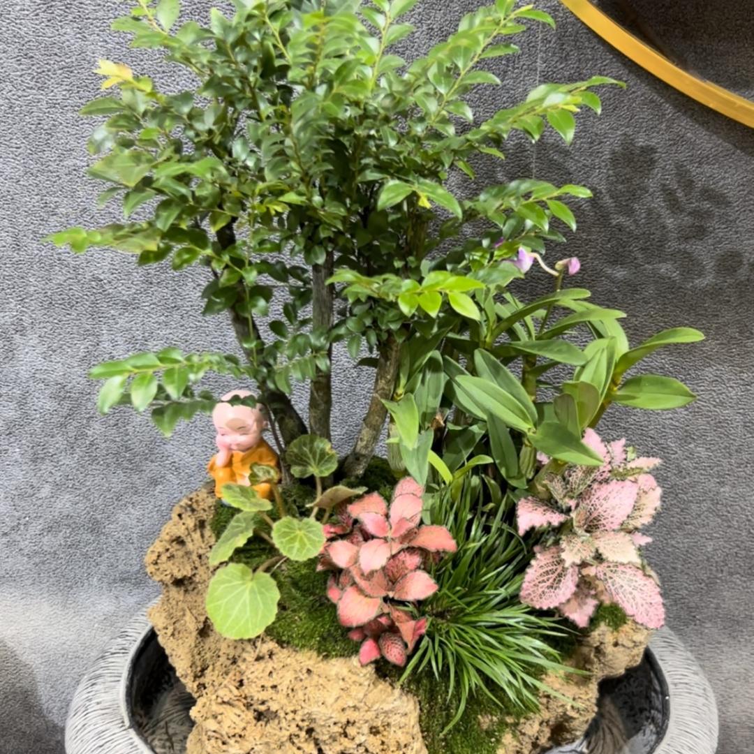 宜石轩微景观