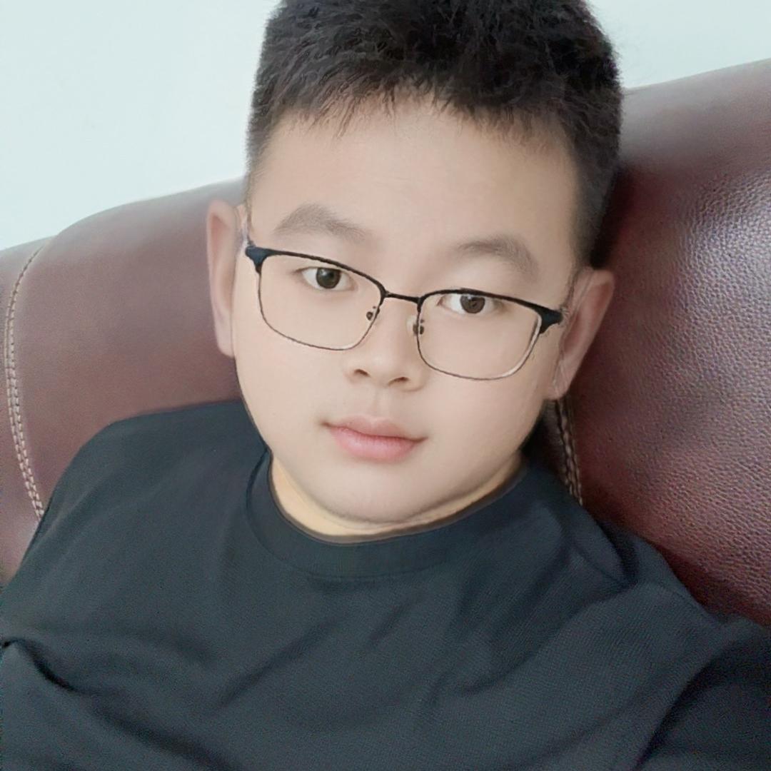 赵发财新能源面包车