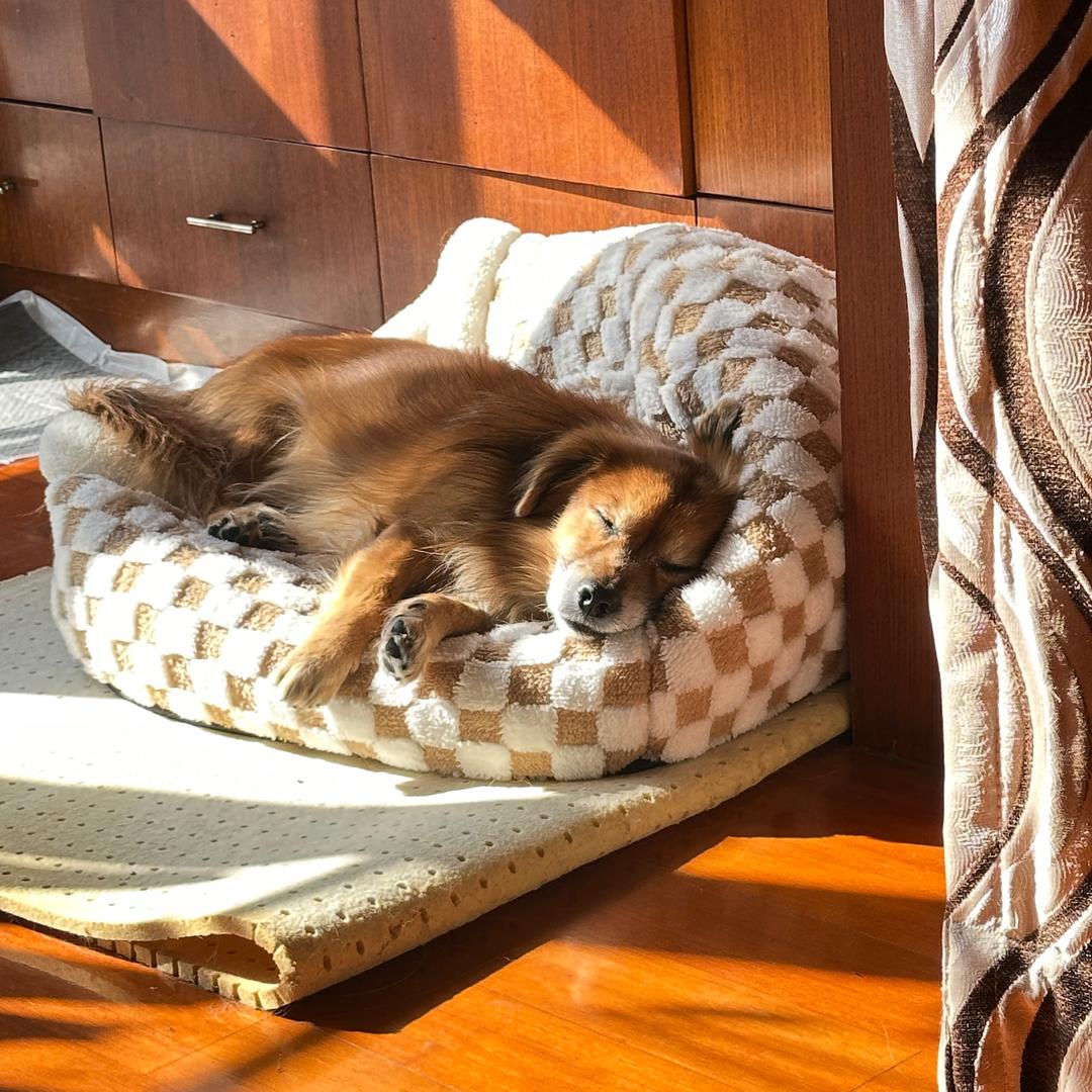 梭鱼湾（见到沙一汀版