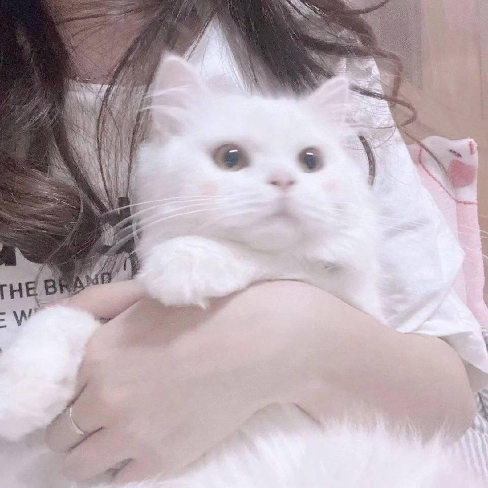 喝喝