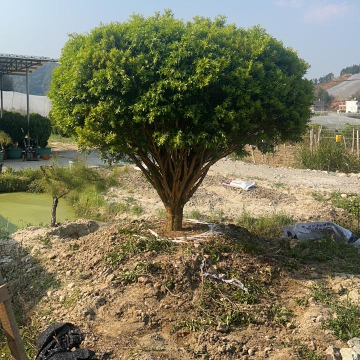 鑫阳生态农场